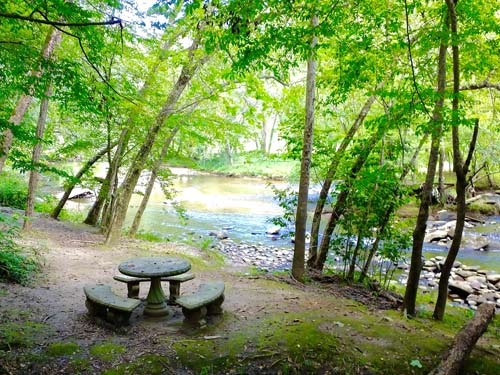 PIcnic area along the broad river
